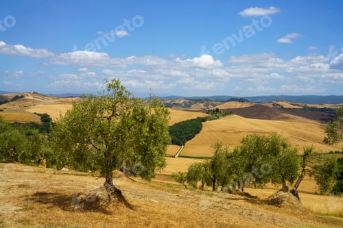 Preview: Rural landscape in Val d Orcia, Tuscany, Italy