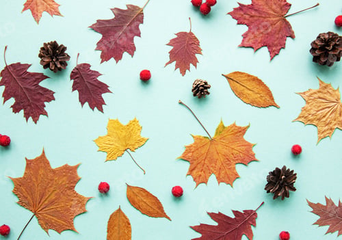 Preview: Autumn composition