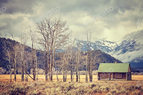 Preview: Retro toned old abandoned hut in the Grand Teton National Park,