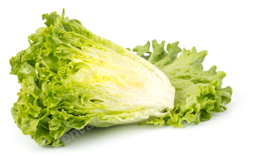 Preview: Fresh lettuce salad bunch isolated on white background