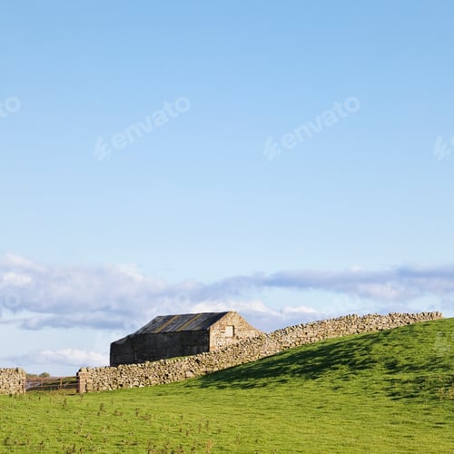 Preview: 49026,Barn and dry stone wall, Wensleydale, Yorkshire Dales National Park, England