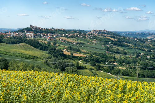 Preview: Rural landscape near Montegiorgio, Marches, Italy
