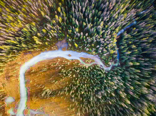 Preview: A drone view of the river in the woods. An aerial view of an autumn forest. Winding river