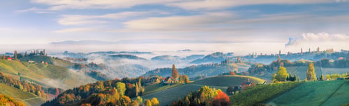 Preview: Fabulous vineyards landscape in South Styria near Gamlitz.