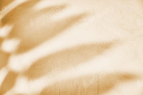 Preview: Leaf shadow on pastel background. Creative abstract background