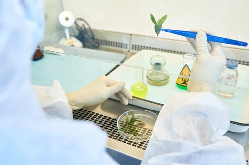 Preview: Biological sample as material for experiment