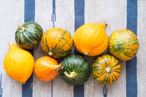 Preview: Assorted colorful pumpkins on a striped fabric background