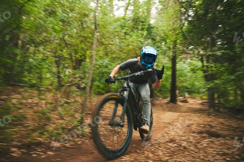 Preview: Mountain bike, man and rock on sign of freedom, adventure and speed of motion blur in forest. Bicyc