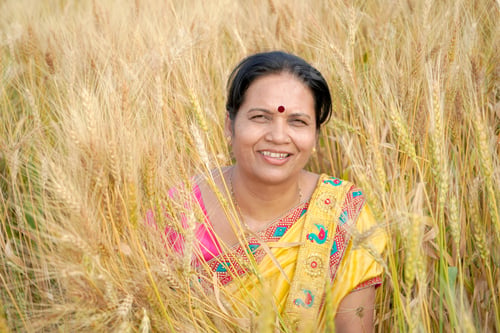 Preview: Beautiful young Indian woman wear in saree at the wheat field