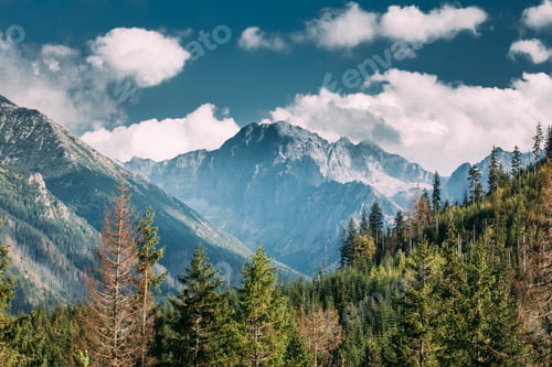 Preview: Tatra National Park, Poland. Summer Mountains And Forest Landsca