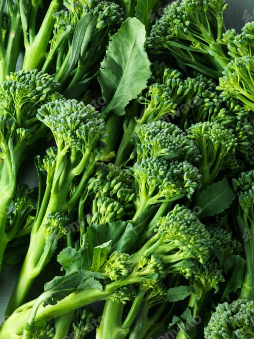 Preview: Tender stem broccoli