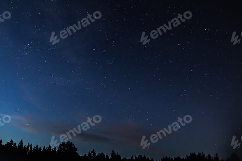 Visualização: Céu estrelado noturno sobre a floresta. Silhuetas de árvores contra o pano de fundo de estrelas.