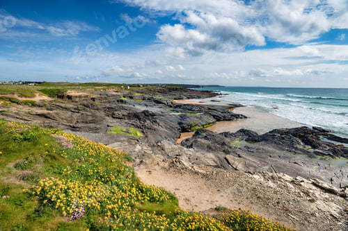 Preview: Summer on the Cornwall Coast