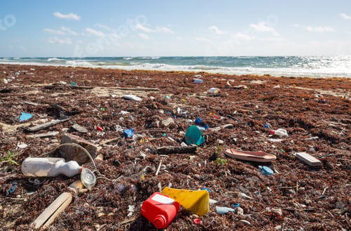 Preview: Trash on the beach