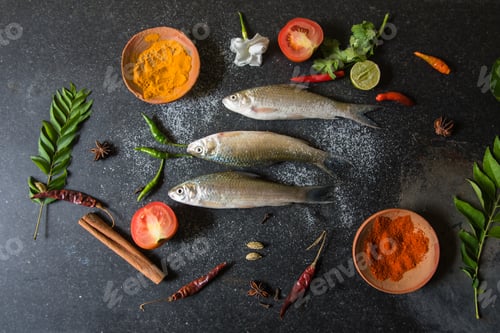 Preview: Raw fish on a background