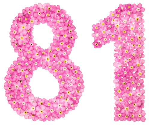 Preview: Arabic numeral 81, eighty one, from pink forget-me-not flowers, isolated on white background