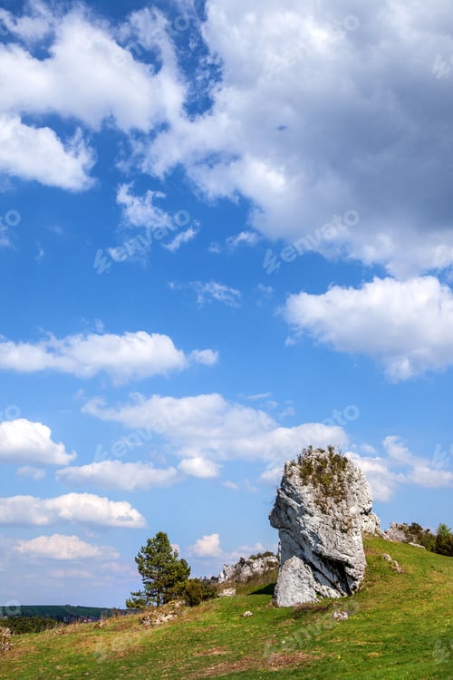 Preview: Jurassic limestone rocks - Polish Jura.