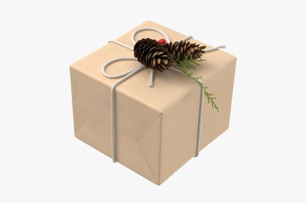 Preview: Wrapped Gift with Pine Cones and Twine