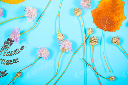 Preview: Autumn Leaves Lie On The Table Background Image