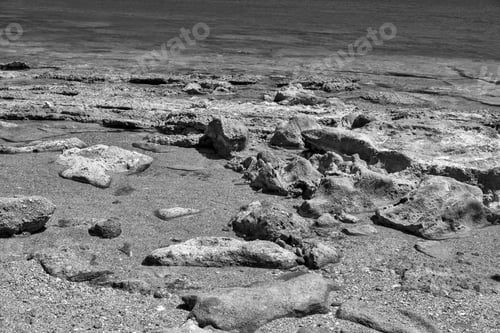 Preview: Wild Landscape Of The Stony Seashore Closeup Monochrome Tone