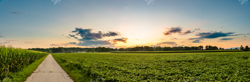 Preview: Panorama, sunset over fields in Austria with dramatic sunset sky and road leading to woods