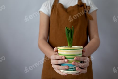 Preview: A woman holding a green plant in hands