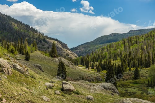 Vorschau: Bergwiese und Waldtal mit dramatisch Beleuchtung