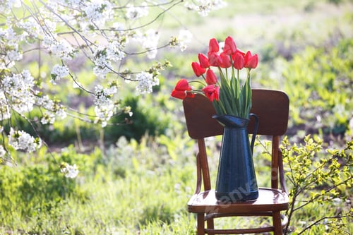 Preview: red tulips in a retro jug in the garden