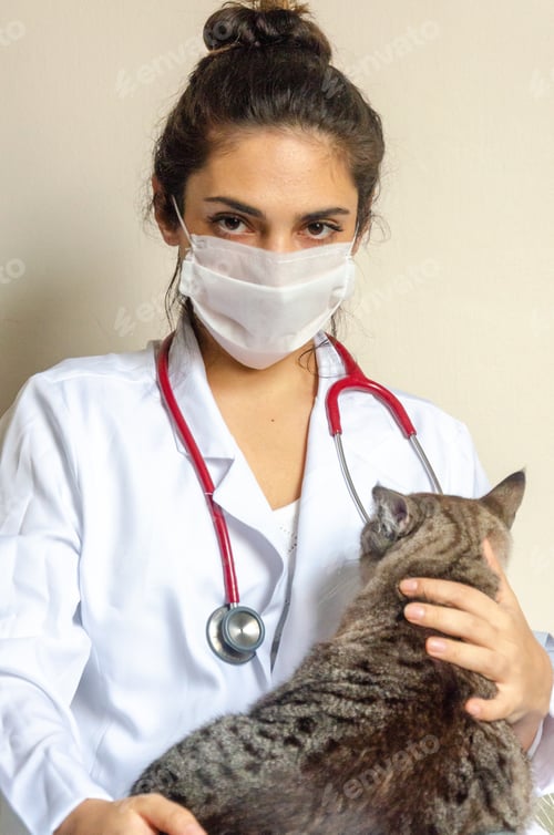Preview: portrait of latin doctor woman with face mask and stethoscope holding a tabby cat