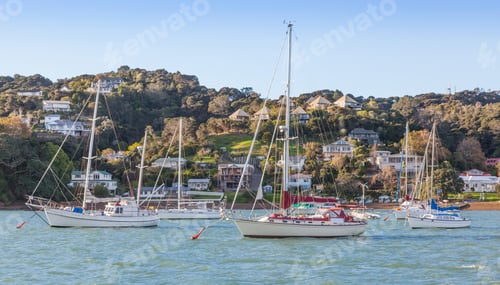 Preview: Yachts off Russell in New Zealand