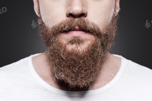 Preview: Perfect beard. Close-up of young bearded man standing against grey background