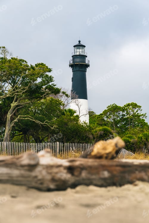 Preview: Scenic view of a lighthouse atop a beach in South Carolina, surrounded by trees