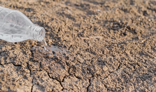 Preview: Selective focus of dry cracked earth due to drought
