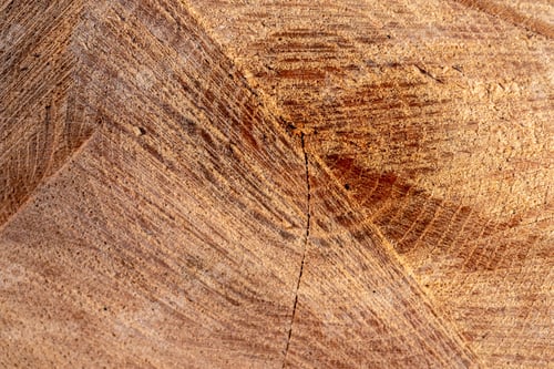 Preview: Wooden tree bark background for wallpapers
