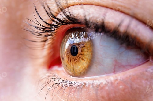 Preview: Closeup shot of a brown eye of a human