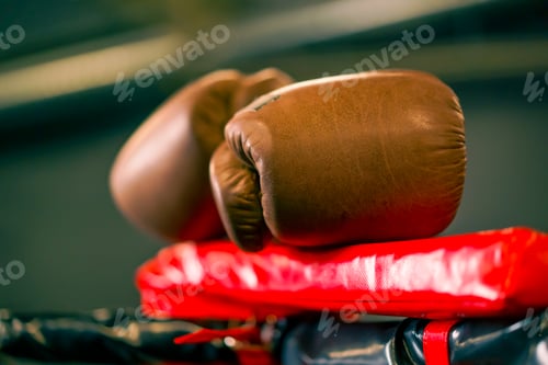 Preview: sports equipment in the gym boxing gloves on ropes of the ring active sports