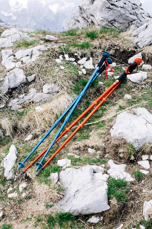 Preview: Hiking sticks