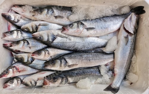 Preview: Fish Food in a Fish Market Stand