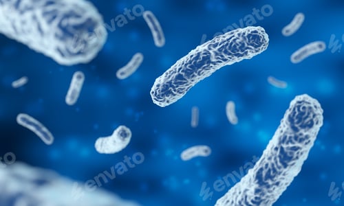Preview: bacteria infection, microscope magnification