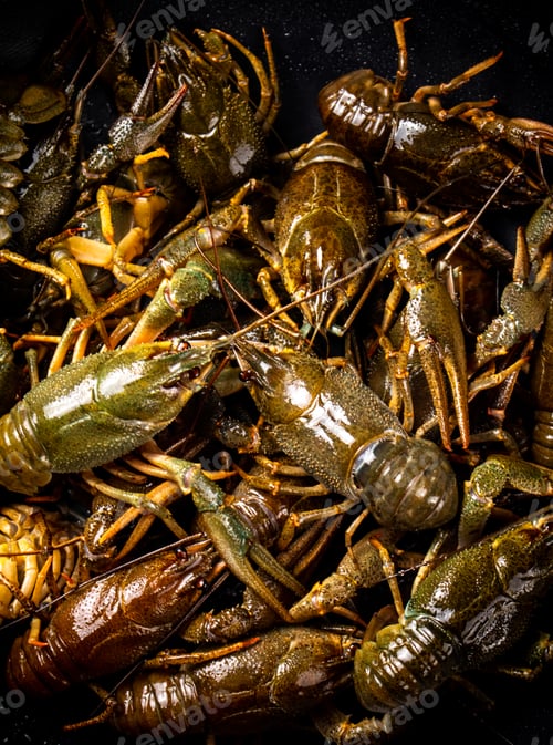 Preview: A bunch of fresh crayfish in a saucepan.