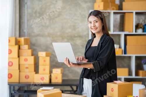 Preview: Starting small businesses SME owners female entrepreneurs Use a laptop or notebook to receive and re