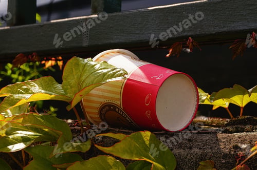 Preview: A discarded disposable coffee cup lies by the wayside.