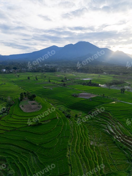 Preview: Wonderful sunrise scenery indonesia nature mountain valley forest with bright sky