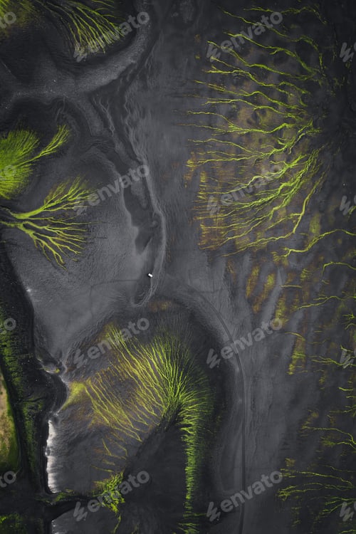 Preview: Aerial view of river delta with green vegetation on dark sand