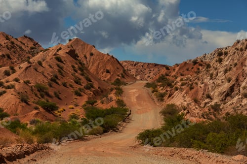 Preview: Ruta cuarenta