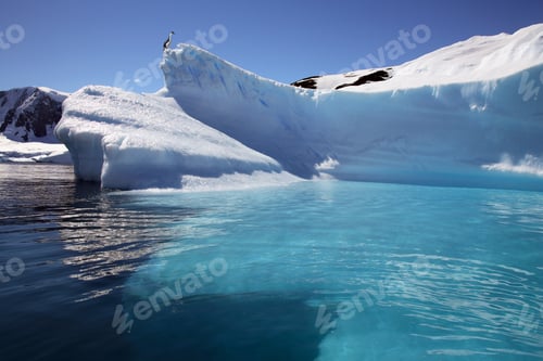 Visualização: Antártica