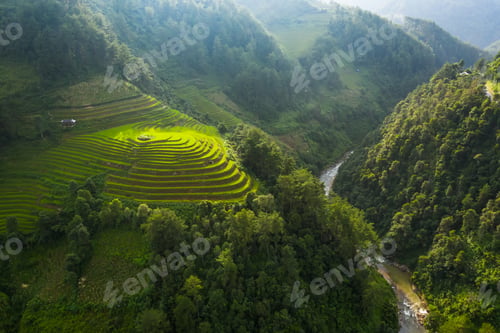 Preview: Paddy rice terraces, green agricultural fields in countryside of mountain hills valley, Vietnam.