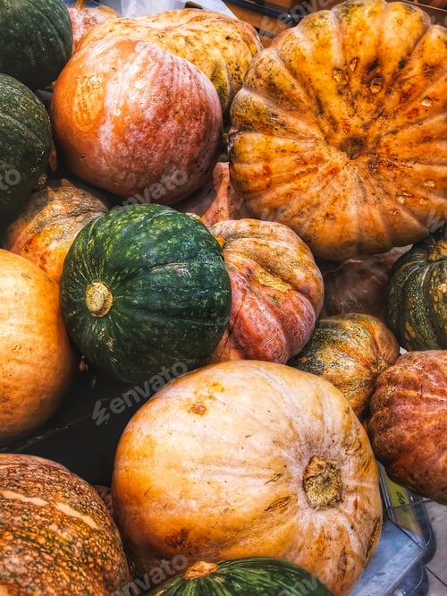 Preview: Bright decorative pumpkins. Beautiful and healthy vegetarian product grown in the market.