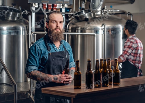 Preview: Two men presenting craft beer in the microbrewery.