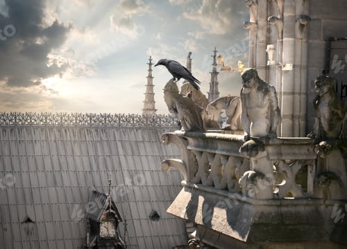 Preview: Chimeras on Notre Dame